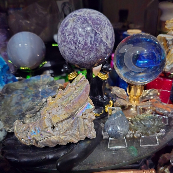 Meet Luna - Picture 12 of 16